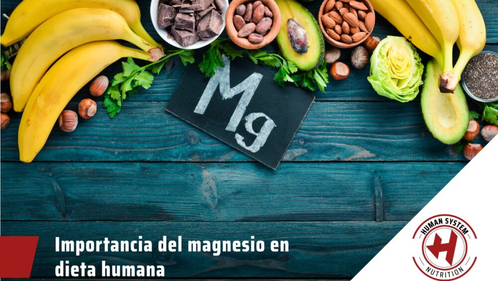 Importancia del magnesio