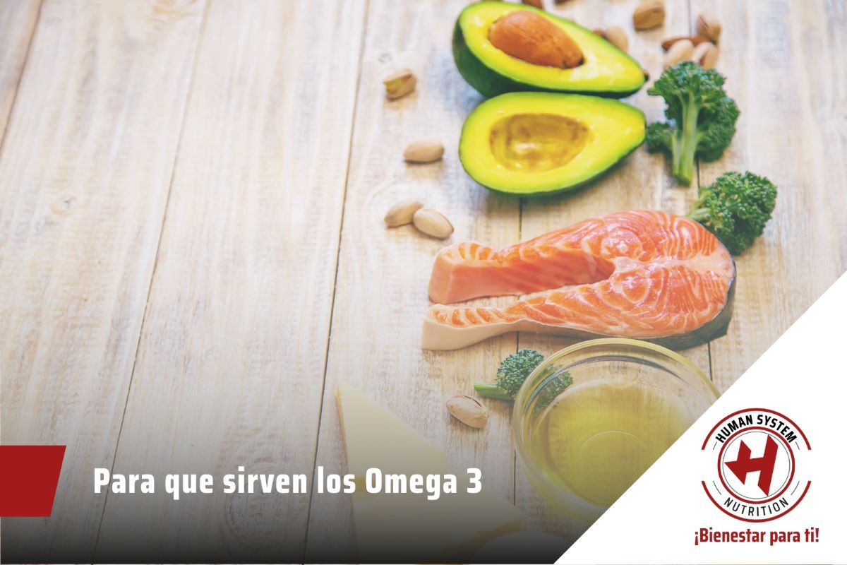 Para que sirven los Omega 3 Human System