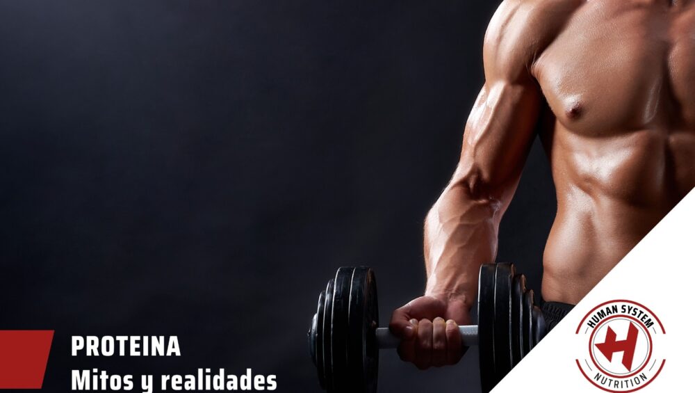 Proteína_mitos_y_realidades