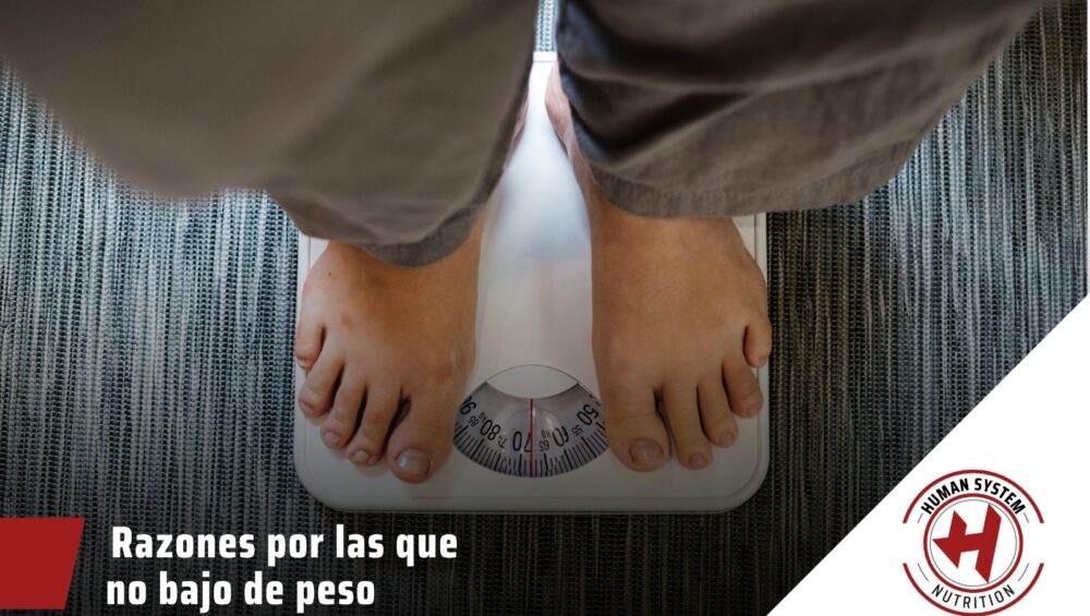 La lucha por conseguir un peso saludable es una de las batallas más comunes que sobrellevan muchas personas todos los días. En la actualidad, términos como gordofobia se han puesto de moda y han logrado que muchos no se sientan cómodos con su peso y su manera de comer.