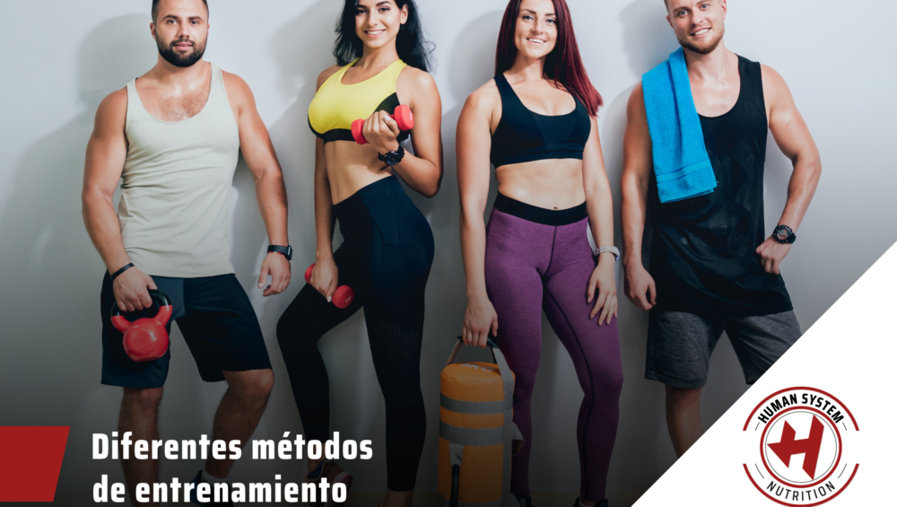 Diferentes Métodos de Entrenamiento